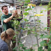 a man and a woman working with plants in a greenhouse.