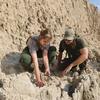 New research targets fossil poaching while answering questions about ...