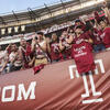Image of Temple fans cheering on the Owls against Penn State at a football game. 