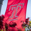 Temple T flag flying in spring