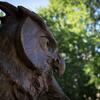 Owl statue on Main Campus.