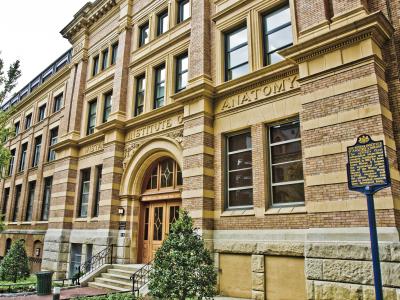 wistar-2010_spruce_ext2