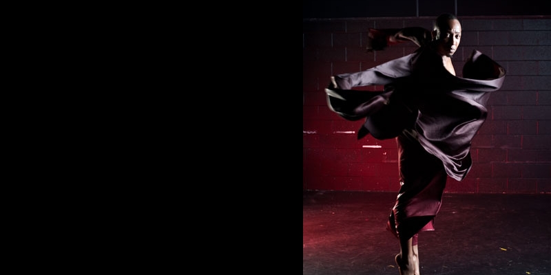 zebra_dtx-200-edit_photogabrielbienczycki